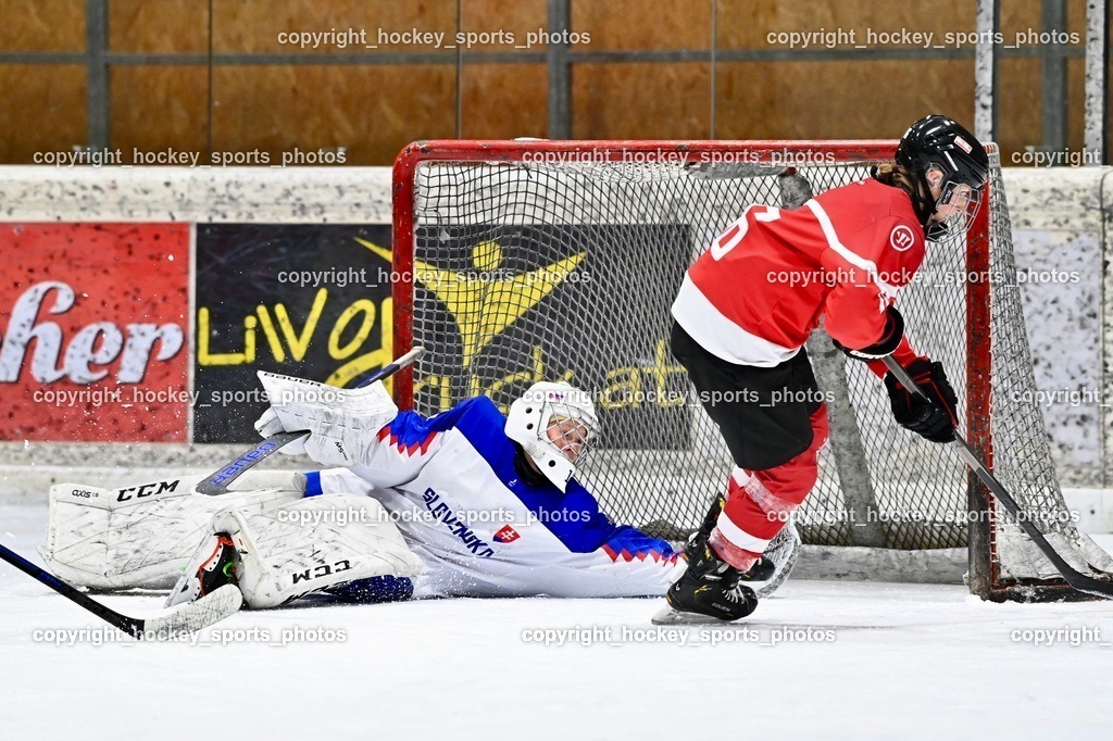 BST_3785 | hockey sports photos, Pressefotos, Sportfotos, hockey247, win 2day icehockeyleague, Handball Austria, Floorball Austria, ÖVV, Kärntner Eishockeyverband, KEHV, KFV, Kärntner Fussballverband, Österreichischer Volleyballverband, Alps Hockey League, ÖFB, 