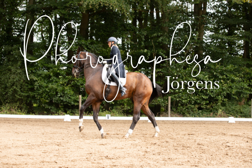 IMG_2615 | photographesa-joergens - Realisiert mit Pictrs.com