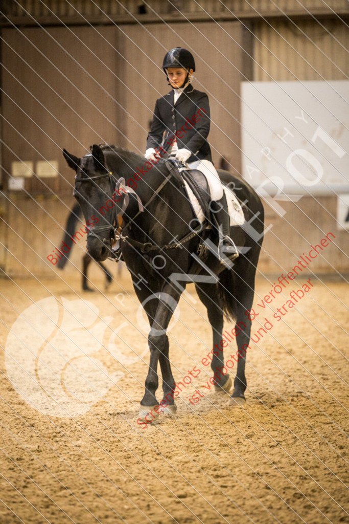 IMG_8285 | Hier findest Du viele Augenblicke aus den Bereichen der Turnier-, Sport- & Tierfotografie. Bilder mit deinem Liebling, Portrait-, Bewerbungs-, Businessbilder können ebenfalls schnell und einfach erstellt werden.