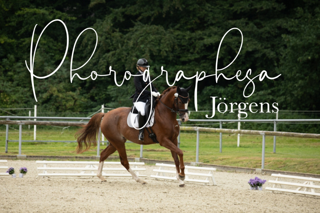 IMG_5237 | photographesa-joergens - Realisiert mit Pictrs.com