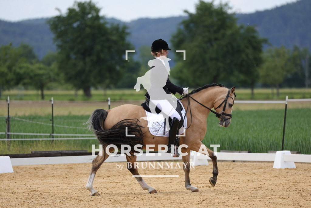 0P6A8457 | Willkommen bei Brunnmayr - Design & Fotografie – Ihrem Spezialisten für Reitturniere und Pferdeveranstaltungen in Oberösterreich, Salzburg und Bayern! Seit über 17 Jahren sind wir leidenschaftlich dabei.