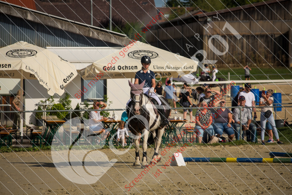 1H7C3407 | Hier findest Du viele Augenblicke aus den Bereichen der Turnier-, Sport- & Tierfotografie. Bilder mit deinem Liebling, Portrait-, Bewerbungs-, Businessbilder können ebenfalls schnell und einfach erstellt werden.