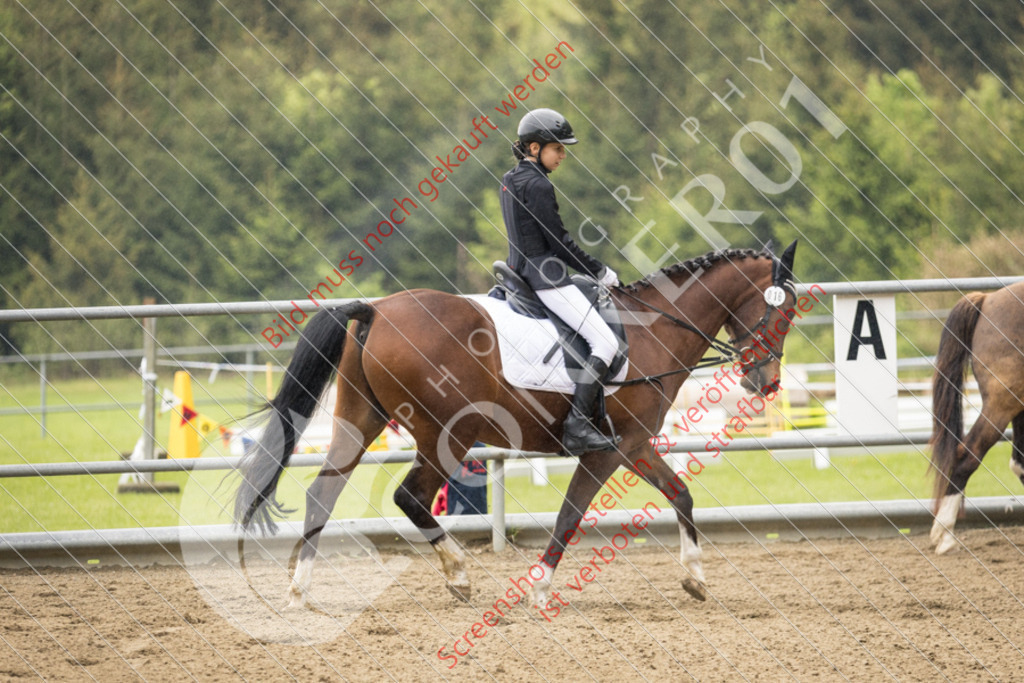 IMG_8114 | Hier findest Du viele Augenblicke aus den Bereichen der Turnier-, Sport- & Tierfotografie. Bilder mit deinem Liebling, Portrait-, Bewerbungs-, Businessbilder können ebenfalls schnell und einfach erstellt werden.