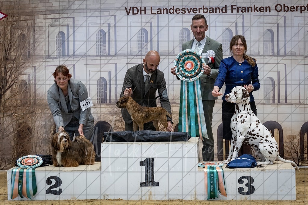 DS - Best in Show_0031 | Markus Heber Photography
