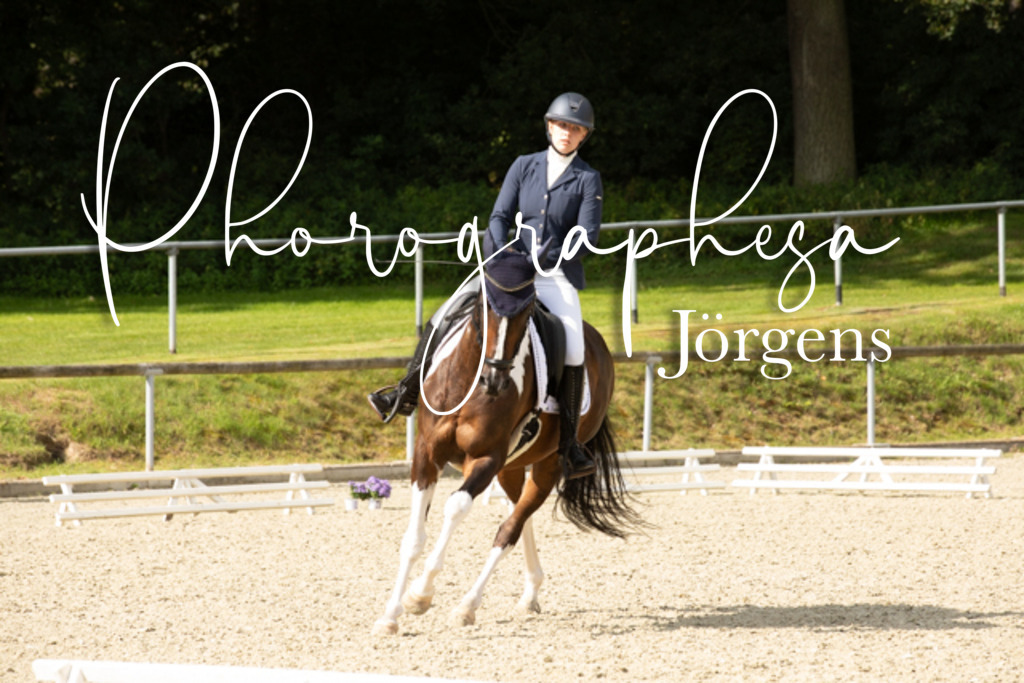 IMG_8198 | photographesa-joergens - Realisiert mit Pictrs.com