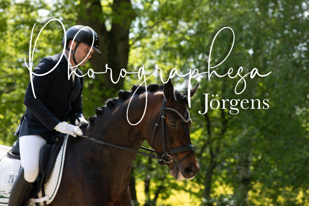 IMG_5755 | photographesa-joergens - Realisiert mit Pictrs.com