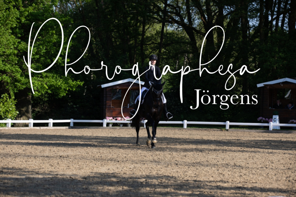 IMG_2395 | photographesa-joergens - Realisiert mit Pictrs.com