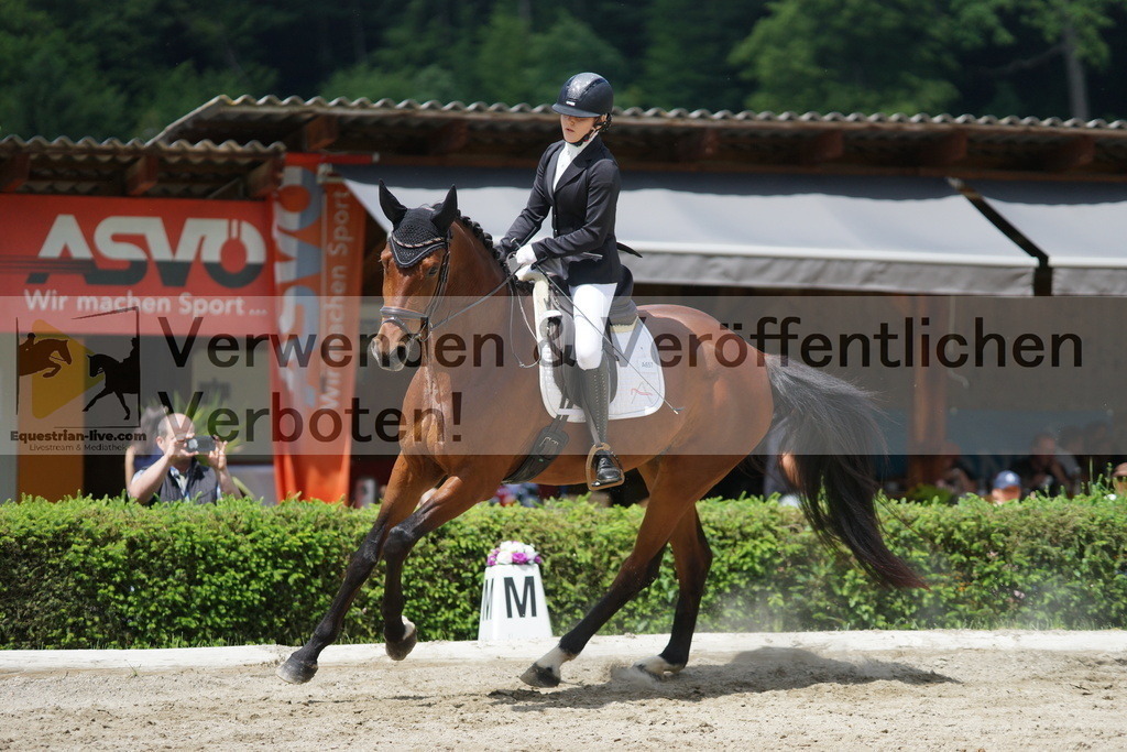 DSC05081 | equestrian-live-com