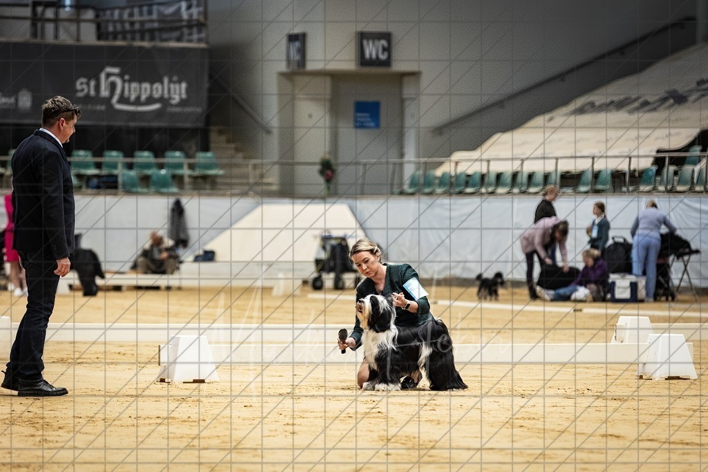 DS - Bester Junghund_0175 | Markus Heber Photography