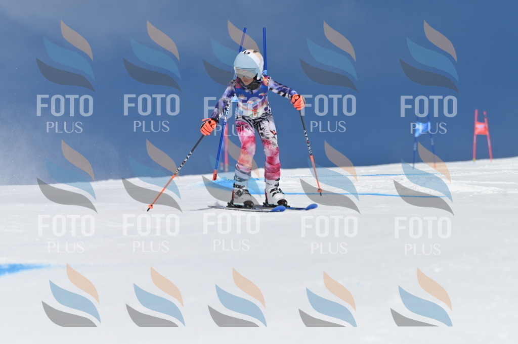 BGV_1250 | holidayphoto