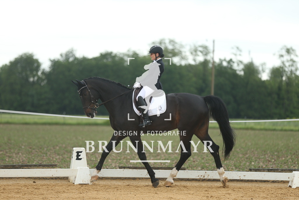 AS8V0359 | Willkommen bei Brunnmayr - Design & Fotografie – Ihrem Spezialisten für Reitturniere und Pferdeveranstaltungen in Oberösterreich, Salzburg und Bayern! Seit über 17 Jahren sind wir leidenschaftlich dabei.