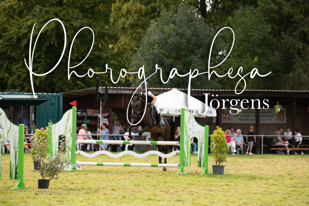 IMG_9524 | photographesa-joergens - Realisiert mit Pictrs.com