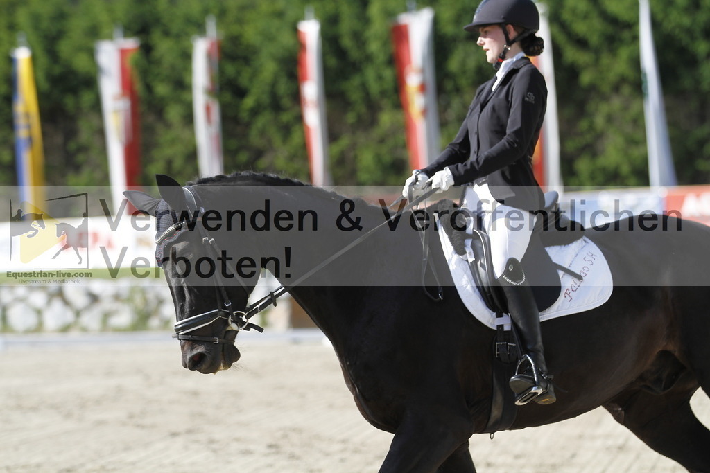 _MG_5997 | equestrian-live-com