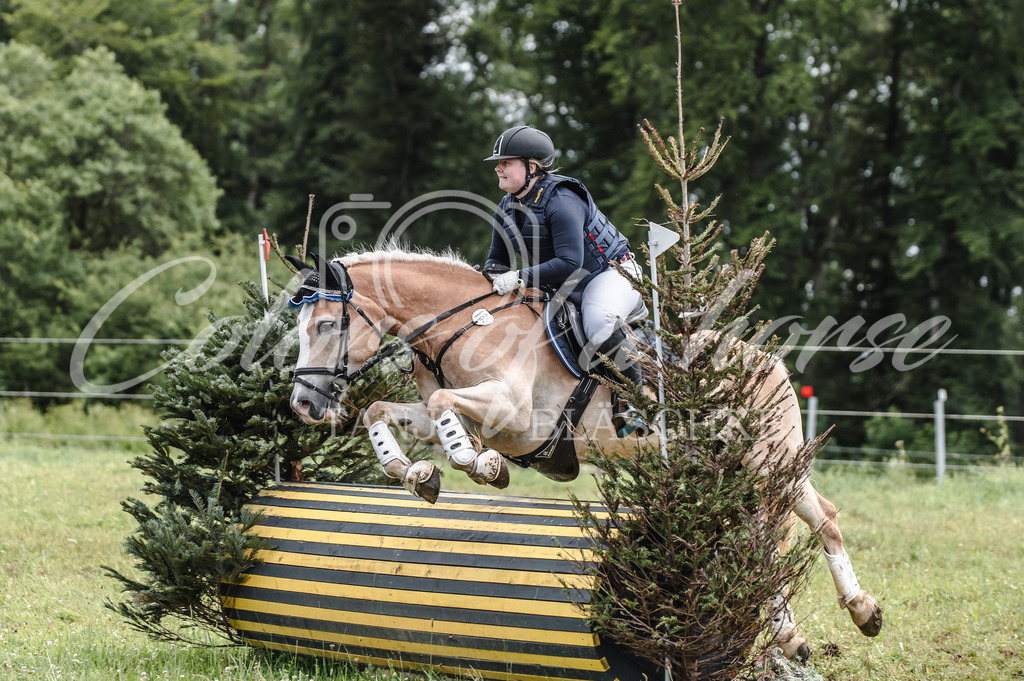 TBL_9465 | Turnierfotos von Reitturnieren in den Landkreisen Biberach, Ravensburg und in ganz Oberschwaben - von Tanja Bläschke - Colorsofahorse - Realisiert mit Pictrs.com