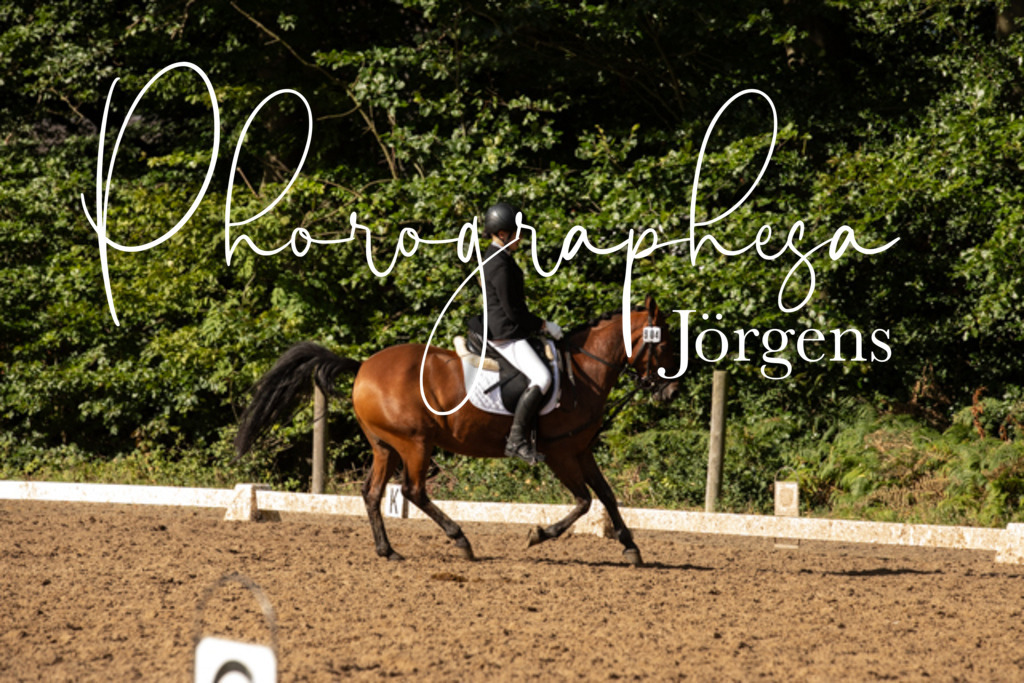 IMG_0554 | photographesa-joergens - Realisiert mit Pictrs.com