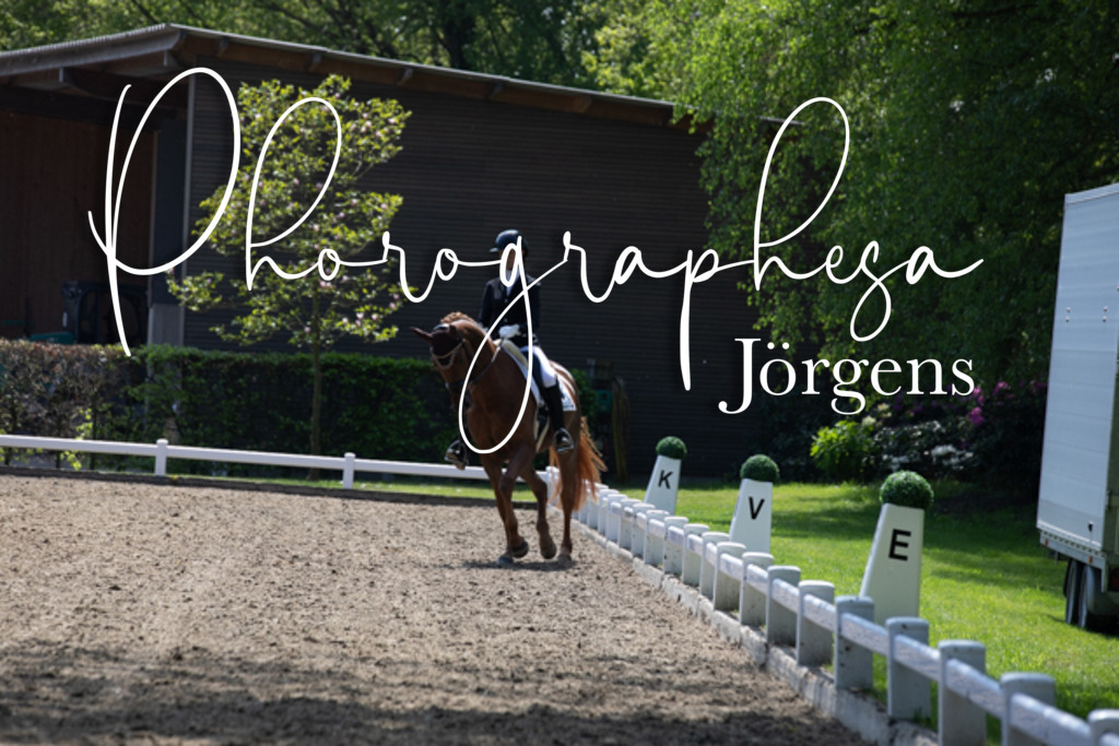 IMG_8445 | photographesa-joergens - Realisiert mit Pictrs.com