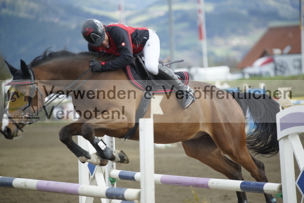 _DSC8067 | equestrian-live-com