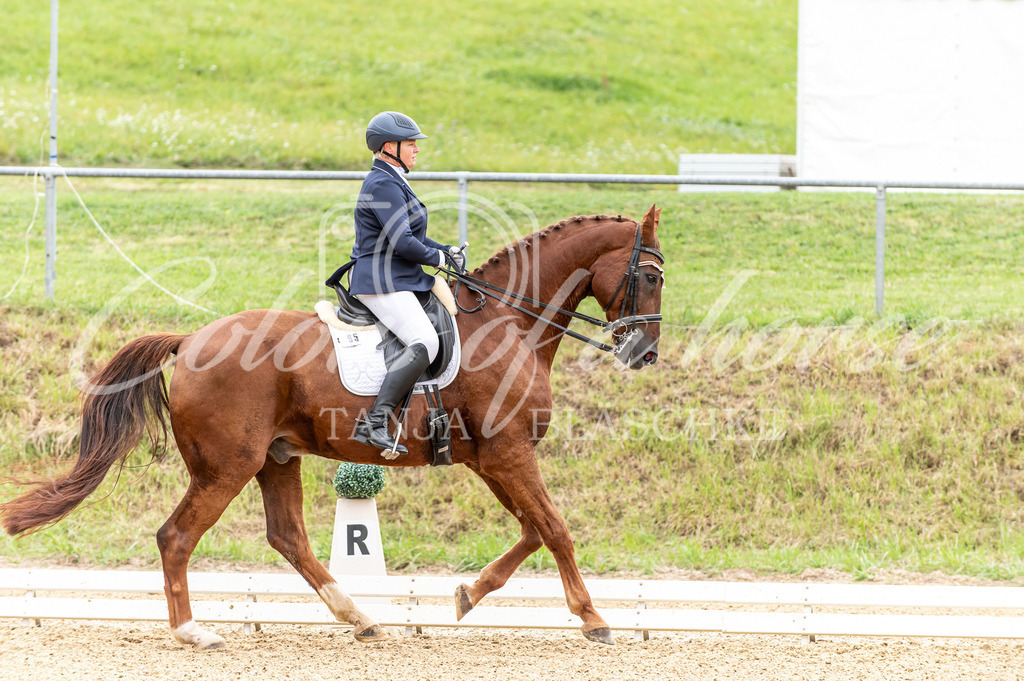 TBL_5613 | Turnierfotos von Reitturnieren in den Landkreisen Biberach, Ravensburg und in ganz Oberschwaben - von Tanja Bläschke - Colorsofahorse - Realisiert mit Pictrs.com