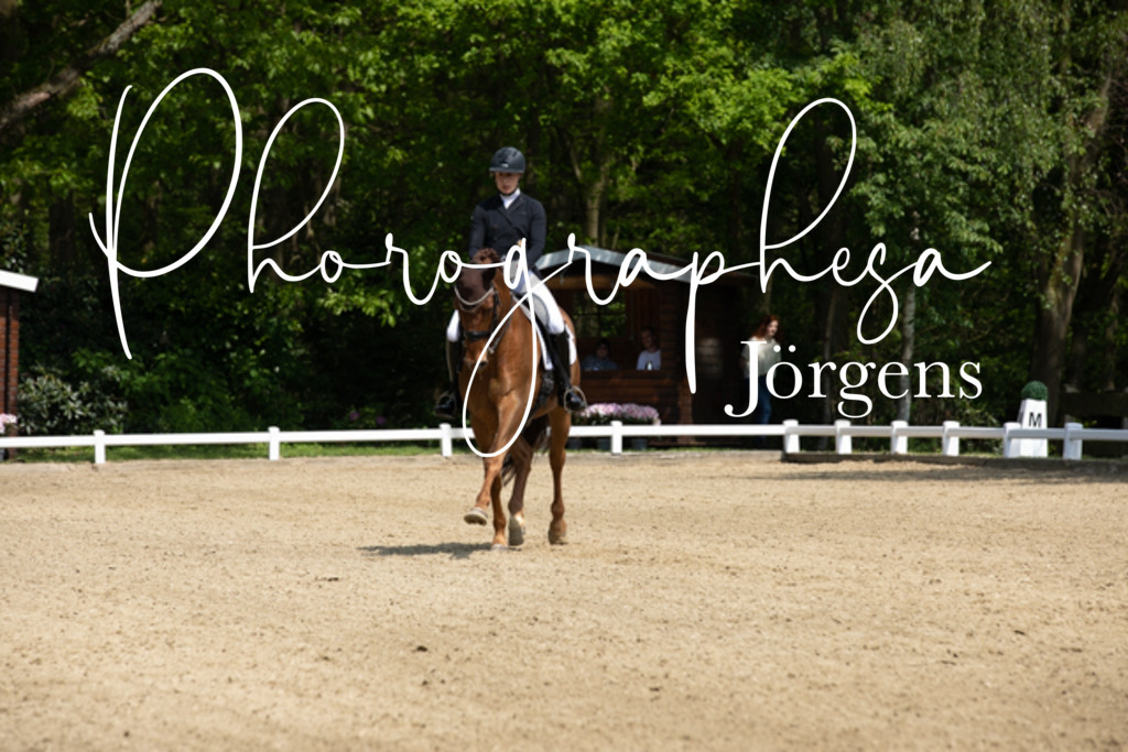 IMG_1173 | photographesa-joergens - Realisiert mit Pictrs.com