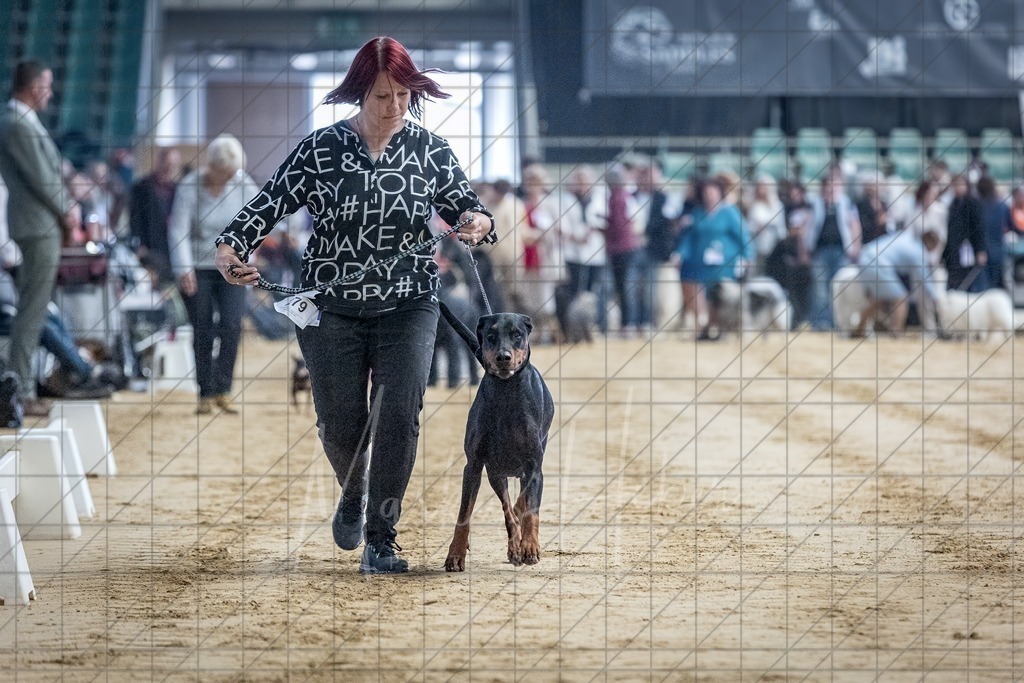 DS - Bester Veteran_0015 | Markus Heber Photography