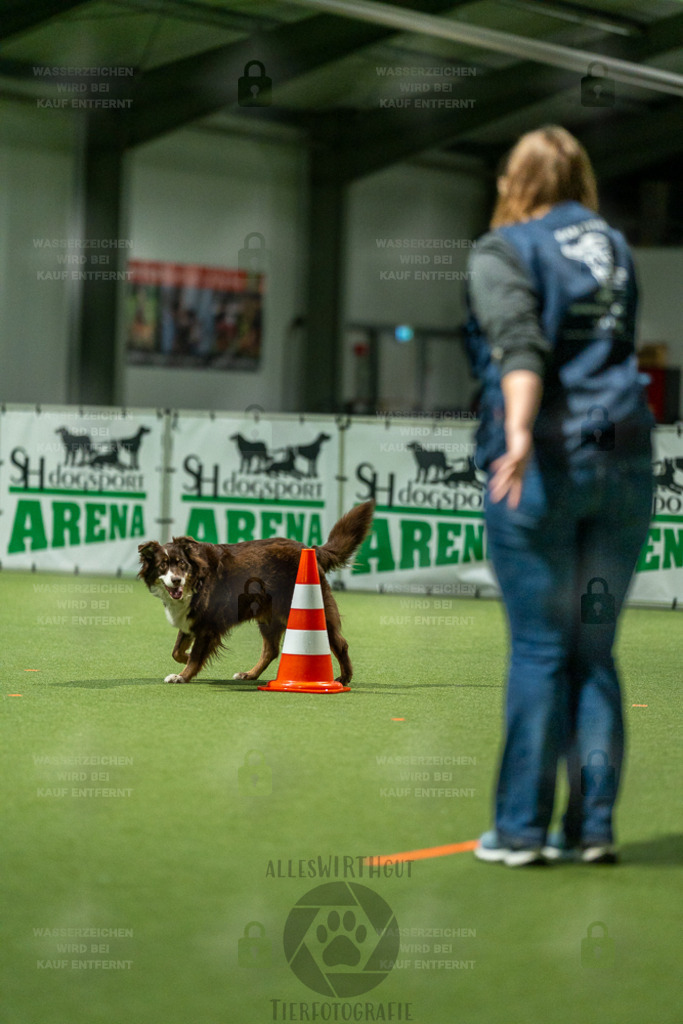 7IV02138 | Professionelle Tierfotografie in Mönchengladbach von Daniel Wirth (allesWIRTHgut). Liebevolle & natürliche Bilder von Hunden & Katzen für unvergessliche Erinnerungen.