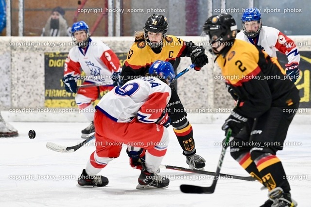 BST_3977 | hockey sports photos, Pressefotos, Sportfotos, hockey247, win 2day icehockeyleague, Handball Austria, Floorball Austria, ÖVV, Kärntner Eishockeyverband, KEHV, KFV, Kärntner Fussballverband, Österreichischer Volleyballverband, Alps Hockey League, ÖFB, 