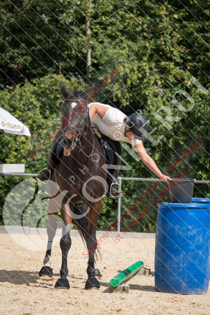 ND5_7422 | Hier findest Du viele Augenblicke aus den Bereichen der Turnier-, Sport- & Tierfotografie. Bilder mit deinem Liebling, Portrait-, Bewerbungs-, Businessbilder können ebenfalls schnell und einfach erstellt werden.