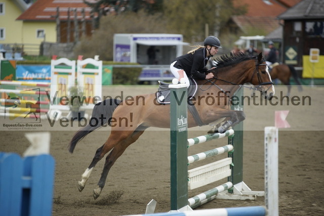 _DSC7115 | equestrian-live-com