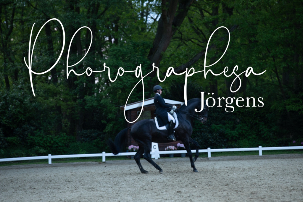 IMG_9772 | photographesa-joergens - Realisiert mit Pictrs.com