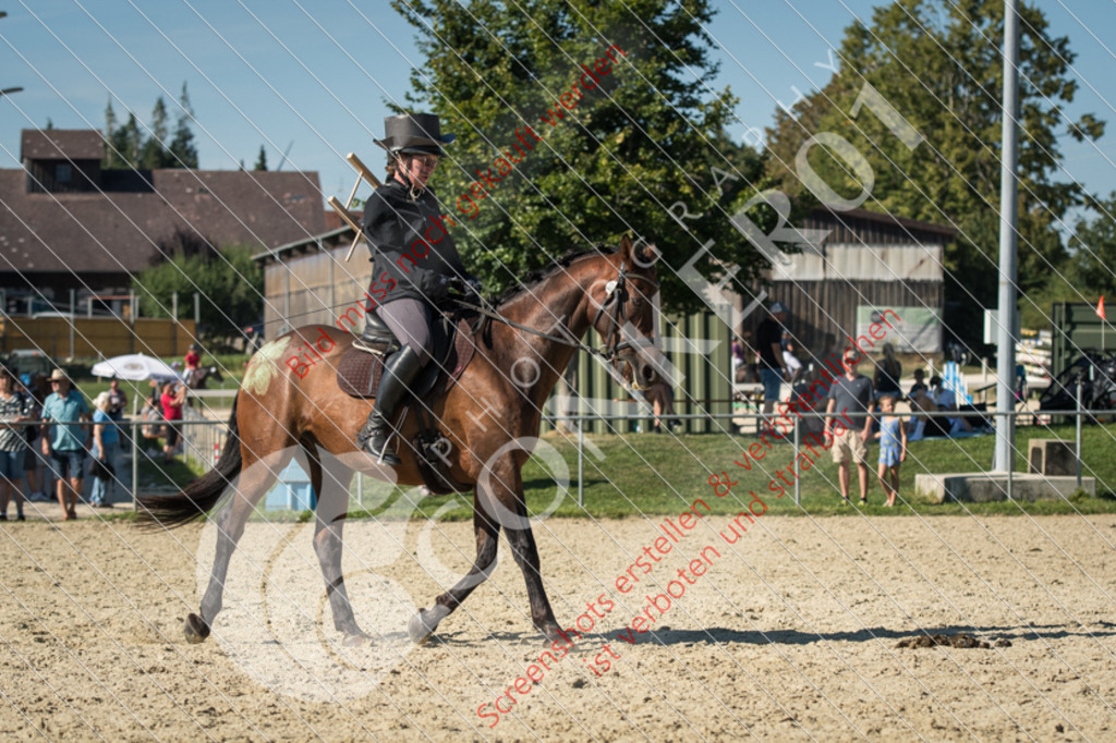 ND5_9916 | Hier findest Du viele Augenblicke aus den Bereichen der Turnier-, Sport- & Tierfotografie. Bilder mit deinem Liebling, Portrait-, Bewerbungs-, Businessbilder können ebenfalls schnell und einfach erstellt werden.