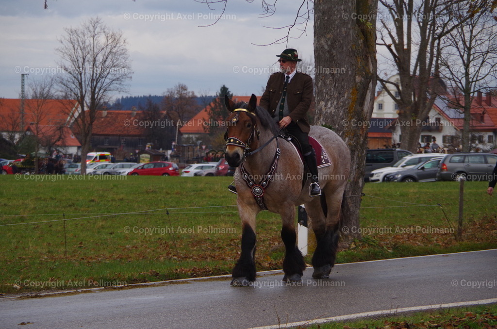 IMGP0227 | fotografiert von Axel PollmannLeonhardi Wallfahrt Benediktbeuern und Murnau, Fronleichnam, Fasching, Landschaft im Loisachtal und Benediktbeuern  - Realisiert mit Pictrs.com