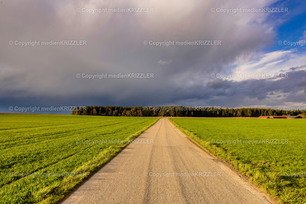 _J3A0388 | medienkrizzler - Realisiert mit Pictrs.com