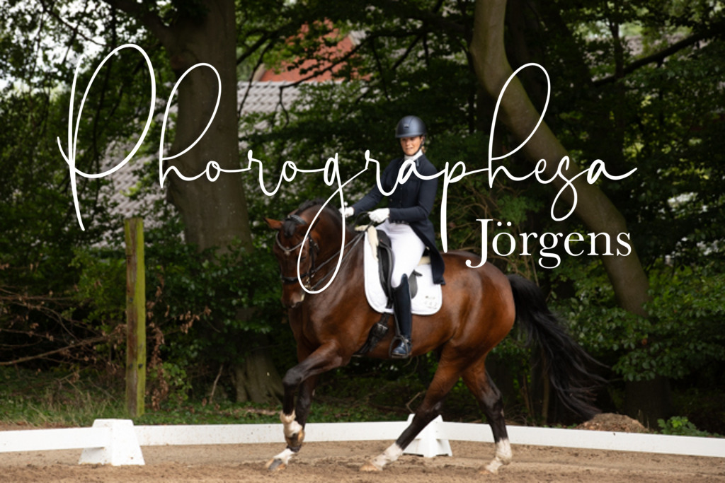 IMG_2589 | photographesa-joergens - Realisiert mit Pictrs.com