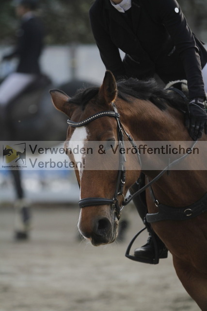 _MG_3718 | equestrian-live-com