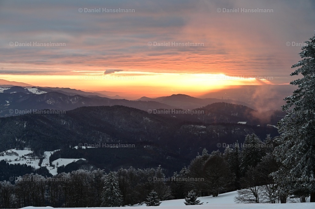 858A2C60-708E-472A-86D9-89D461B5C4DB | Hier finden Sie Poster, Leinwandfotos sowie viele weitere Fotoprodukte mit Motiven aus dem Schwarzwald, aus Freiburg und dem Kaiserstuhl zum Download und zum Bestellen.  - Realisiert mit Pictrs.com