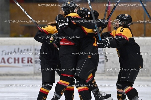 BST_4814 | hockey sports photos, Pressefotos, Sportfotos, hockey247, win 2day icehockeyleague, Handball Austria, Floorball Austria, ÖVV, Kärntner Eishockeyverband, KEHV, KFV, Kärntner Fussballverband, Österreichischer Volleyballverband, Alps Hockey League, ÖFB, 