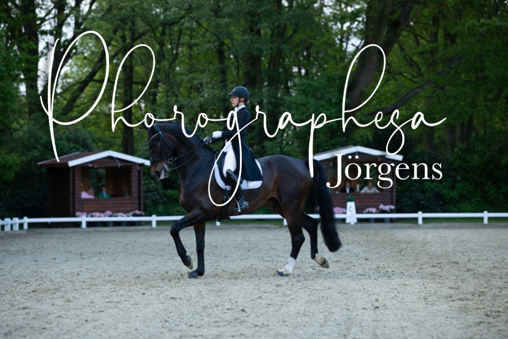 IMG_9442 | photographesa-joergens - Realisiert mit Pictrs.com