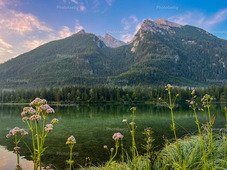 IMG_0202 | phototaetig