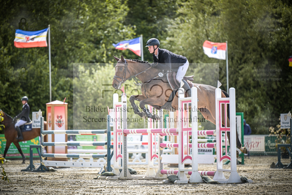 DOS_7982 | Bilder aus dem Reitsport by Foto Oger - Domenic Schlinge - Realisiert mit Pictrs.com