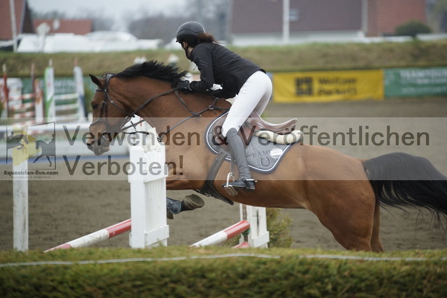 _DSC3869 | equestrian-live-com