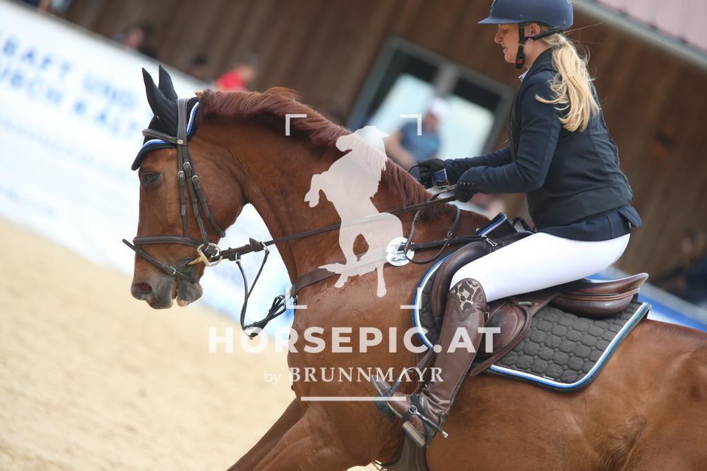 AS8V4311 | Willkommen bei Brunnmayr - Design & Fotografie – Ihrem Spezialisten für Reitturniere und Pferdeveranstaltungen in Oberösterreich, Salzburg und Bayern! Seit über 17 Jahren sind wir leidenschaftlich dabei.