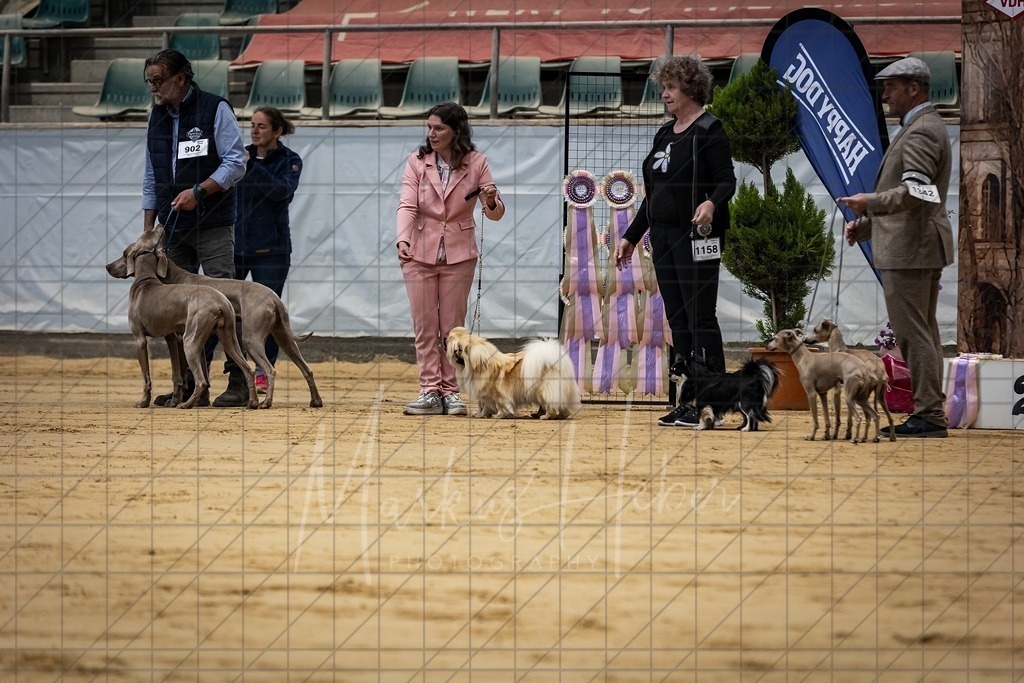 DS - Paarklasse_0062 | Markus Heber Photography