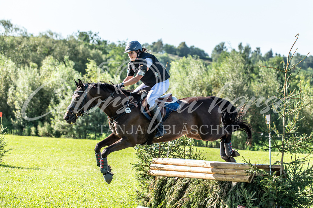 TBL_7717 | Turnierfotos von Reitturnieren in den Landkreisen Biberach, Ravensburg und in ganz Oberschwaben - von Tanja Bläschke - Colorsofahorse - Realisiert mit Pictrs.com