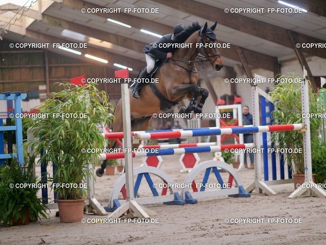 P0121632.t | FP-Foto.de - Realisiert mit Pictrs.com