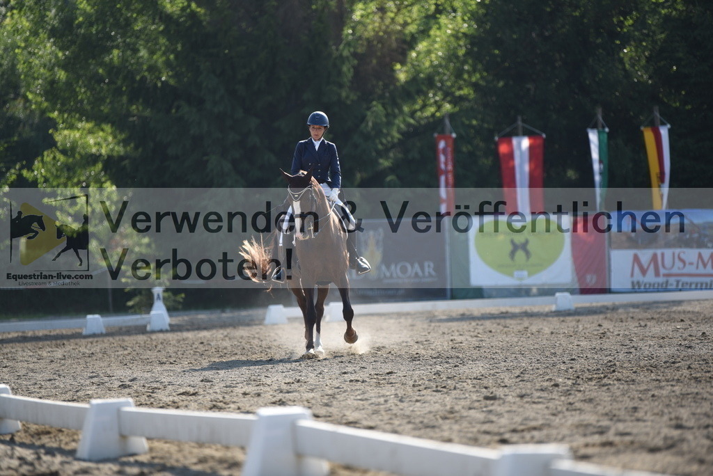 DSC_2930 | equestrian-live-com