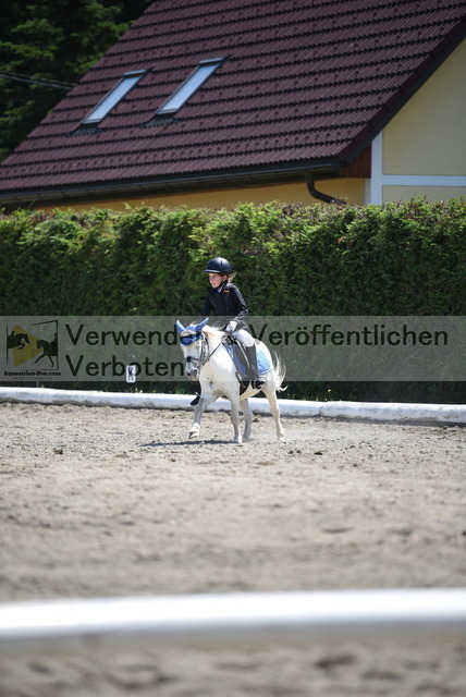 DSC_8983 | equestrian-live-com