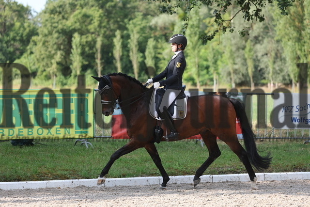 Meißenheim_2023_Prfg.Nr.10_Dressur_Kl.M_Junioren_Fabienne Fürst_Serafino 23 (4) | Alle Fotos der Reiterjournal Fotografin Doris Matthaes im Reiterjournal Online-Fotoshop. - Realisiert mit Pictrs.com