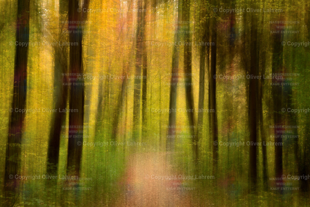 Impression eines Waldweges im Herbst | Die Fotografie zeigt von Laub bedeckten Weg, der in  einen herbstlichen Wald in all seinen bunten Farben führt., Durch einen Bewegungseffekt wirkt die Szenerie wie eine Impressionistisches Bild.