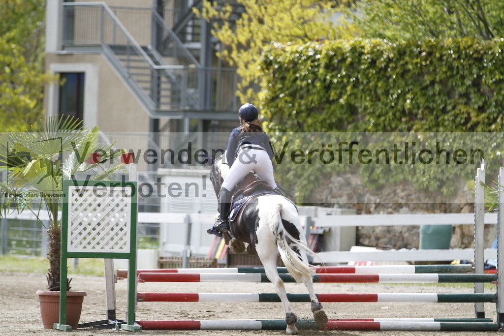 _MG_8483 | equestrian-live-com
