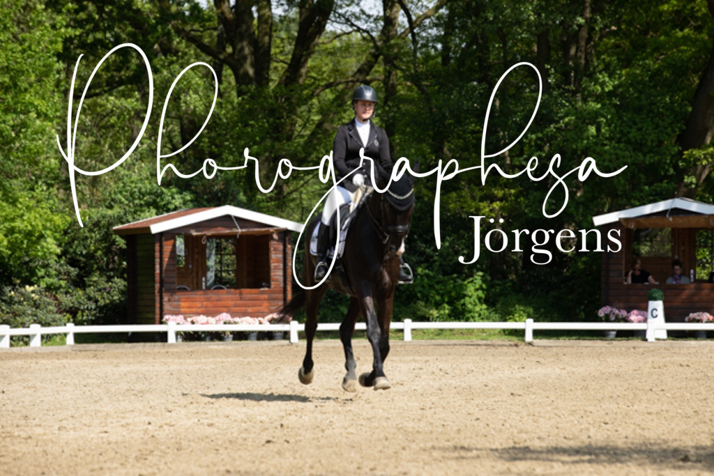 IMG_0543 | photographesa-joergens - Realisiert mit Pictrs.com